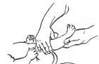 Упражнения для детей 1.5 лет. Гимнастика для новорожденных и грудных детей. Упражнения для рук и плечевого пояса